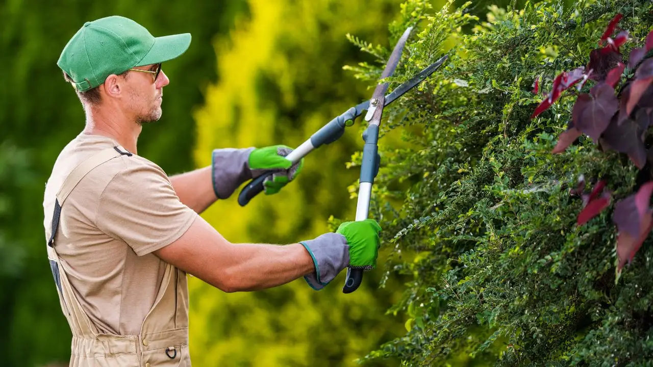 La figura essenziale che controlla la qualità del verde pubblico: ecco cosa fa davvero